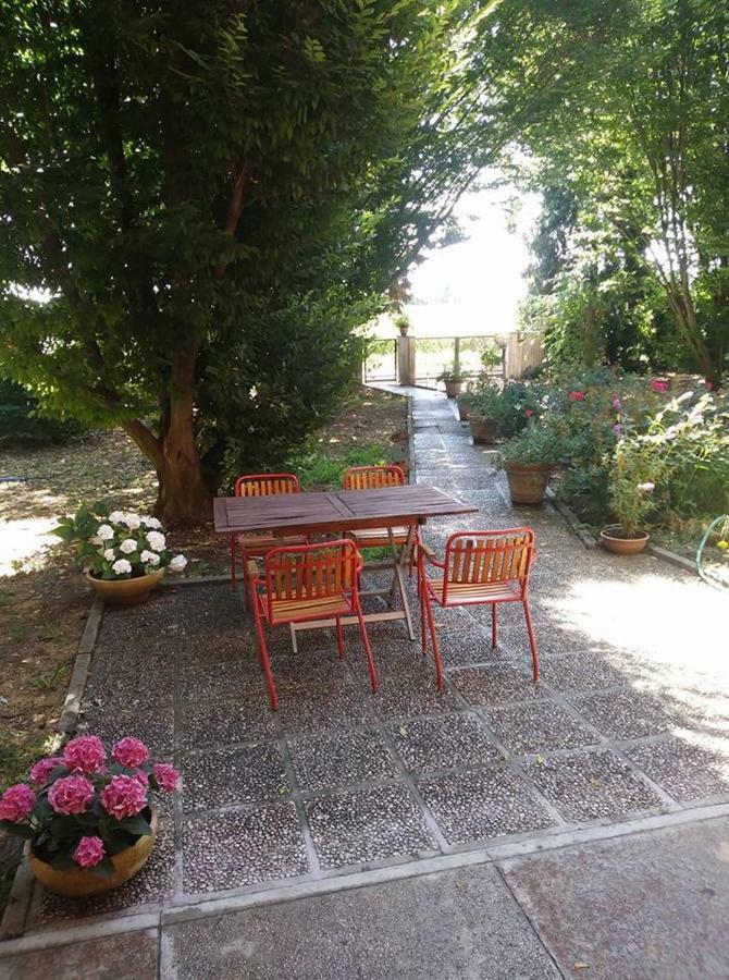Gambisa Street Hotell Soliera Exteriör bild